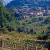 Cascina Piano Estate